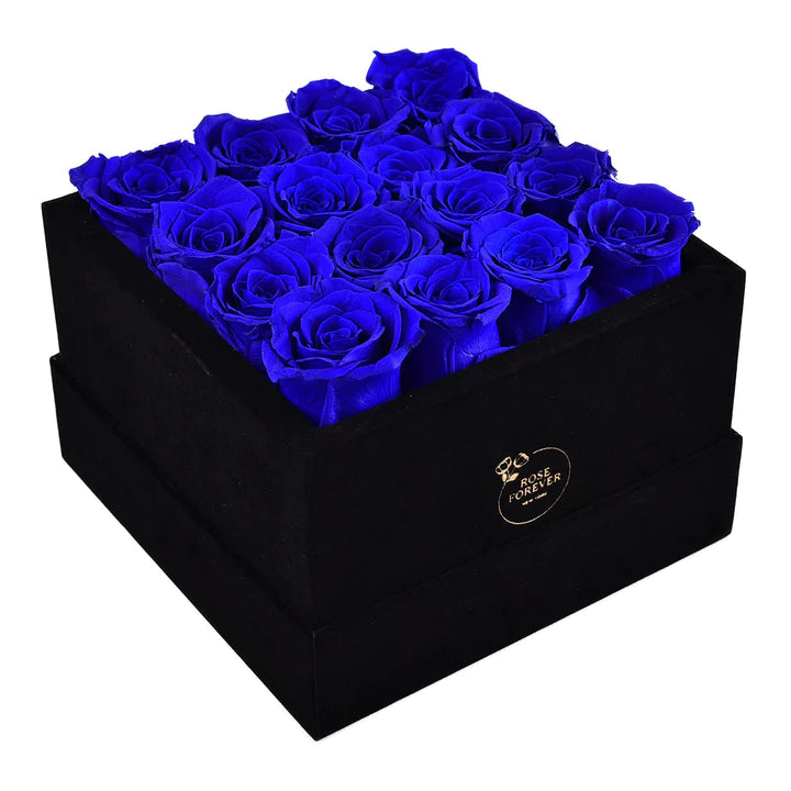 PASSION BLACK VELVET ROYAL BLUE 16
