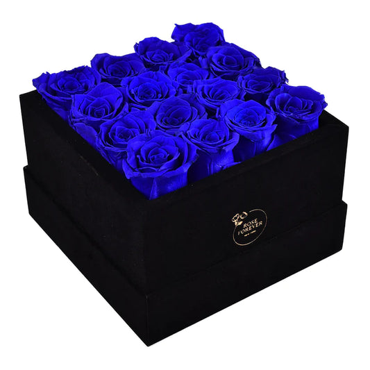 PASSION BLACK VELVET ROYAL BLUE 16